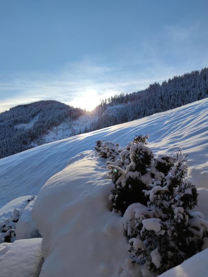 Batacoer - Natures Heartbeat San Vigilio Extérieur photo